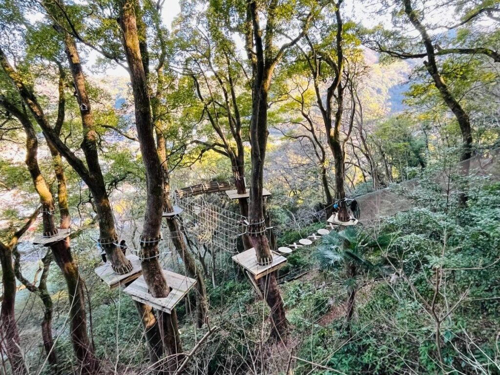 リゾナーレ熱海「森の空中散歩」アスレチックコース